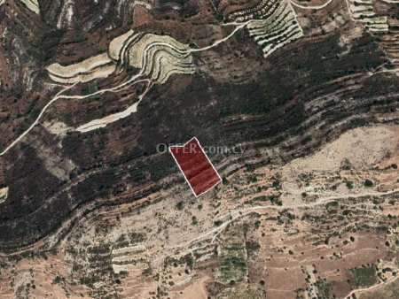 Agricultural Field for sale in Pachna, Limassol