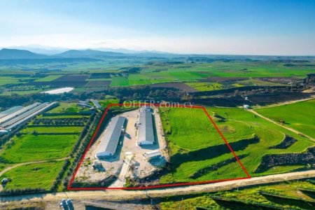 Field with a poultry farm in Agios Ioannis Malountas, Nicosia