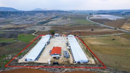 Field with a poultry farm in Agios Ioannis Malountas, Nicosia