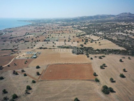 Field in Alaminos area of Larnaca near the sea