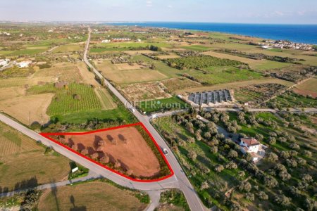 Field for Sale in Mazotos, Larnaca