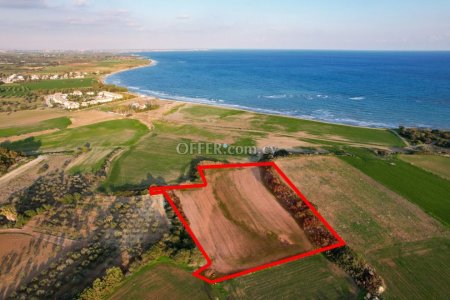 Field for Sale in Mazotos, Larnaca