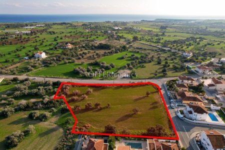 Field for Sale in Mazotos, Larnaca