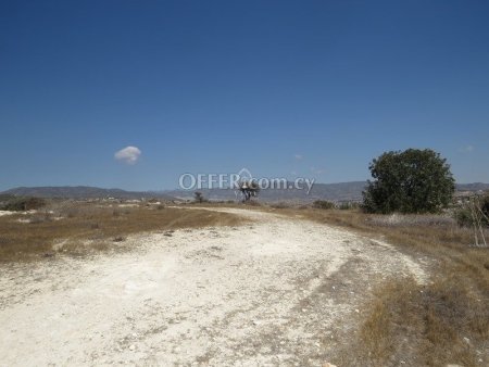 PRIME HILLSIDE  PLOT OF 1000  M2  IN AGIOS TYCHONAS