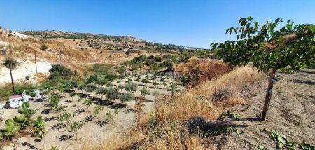 Agricultural Field for sale in Armou, Paphos