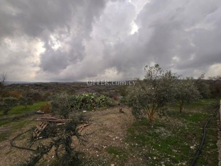 Field for sale in Letymvou, Paphos