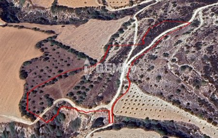 Agricultural Land For Sale in Tremithousa, Paphos - DP4486