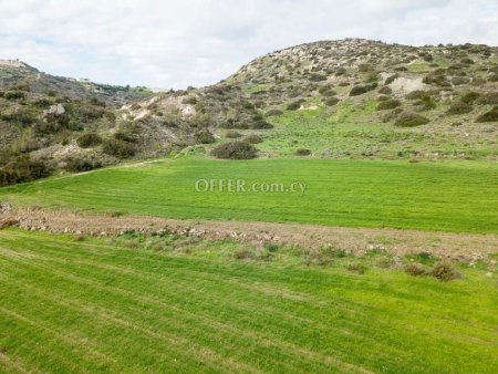 Agricultural Field for sale in Parekklisia, Limassol