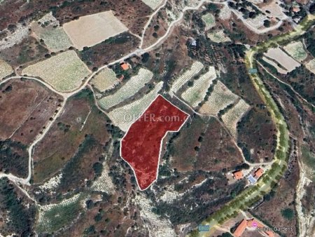 Agricultural Field for sale in Koilani, Limassol