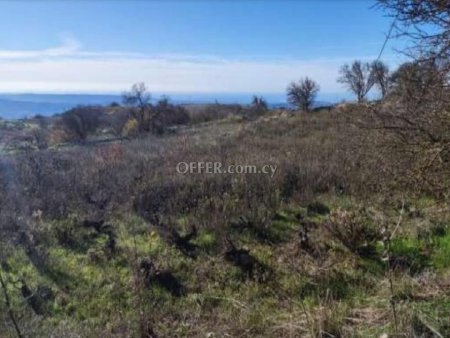 Residential Field for sale in Statos - Agios Fotios, Paphos