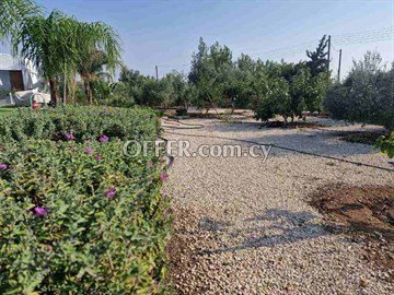 On Α Large Land Luxurious 5 Bedroom House  In Deftera, Nicosia