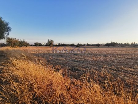 Development Land in Kato Polemidia, Limassol