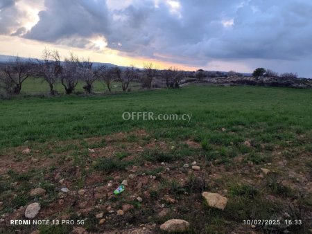 Agricultural Field for sale in Asgata, Limassol