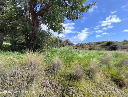 Agricultural Field for sale in Asgata, Limassol