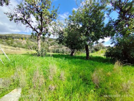 Agricultural Field for sale in Asgata, Limassol