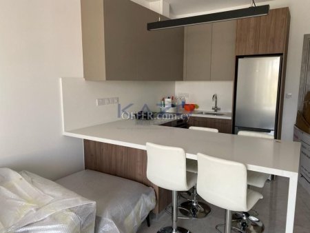 Modern 1 Bedroom Apartment for Rent 50 m2