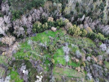 Agricultural Field for sale in Foini, Limassol